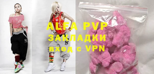 прущие грибы Балабаново