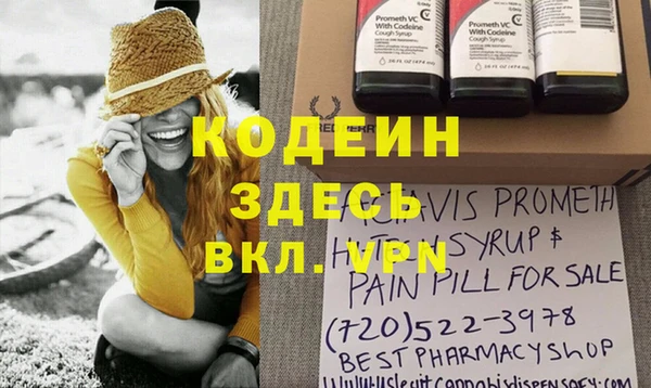 прущие грибы Балабаново
