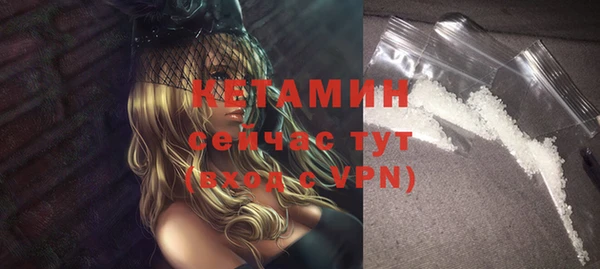 прущие грибы Балабаново