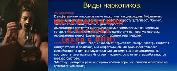 прущие грибы Балабаново