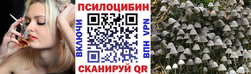 Купить  Краснознаменск  Галлюциногенные грибы мухоморы 